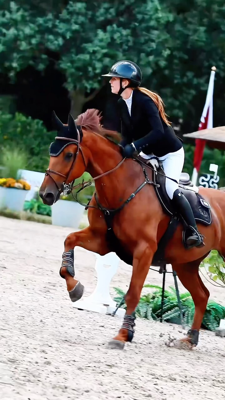 Home Week 1 van CSI** Zuidwolde zit erop! ๐คฉ๐ด Op naar nog een week vol paardensport en gezelligheid. ๐๐ฉท#csizuidwolde #showjumping #equestrian #showjumpersofinstagram #showjumpinghorses