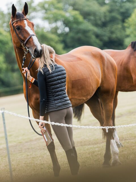 Home All horses and riders have arrived. Letโs go ๐ค #csiermelo #horseshow #showjumping #equestrian