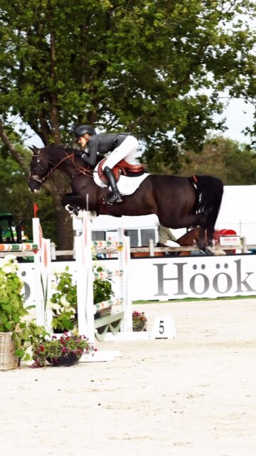Home Throwback to the GP of CSI** Ermelo โจ
A few moments from an amazing weekend of show jumping. ๐
Want your show captured too?
๐ฉ Get in touch for photography & reels.
#CSIErmelo #Showjumping #EquestrianPhotography #HorsePhotography #ShowjumpingPhotography