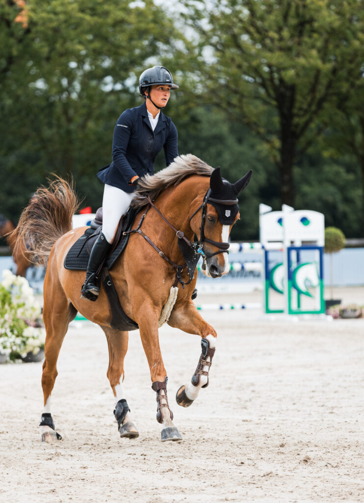 Bruin paard springt geconcentreerd over een hindernis